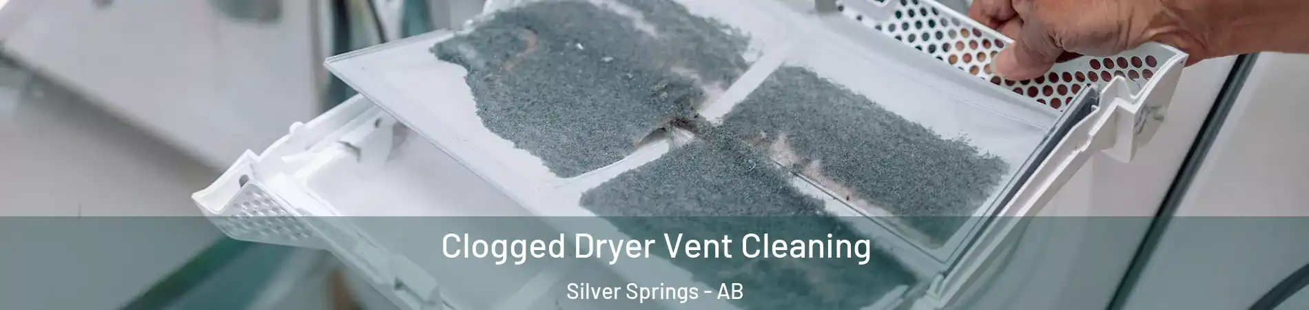  Clogged Dryer Vent Cleaning Silver Springs - AB