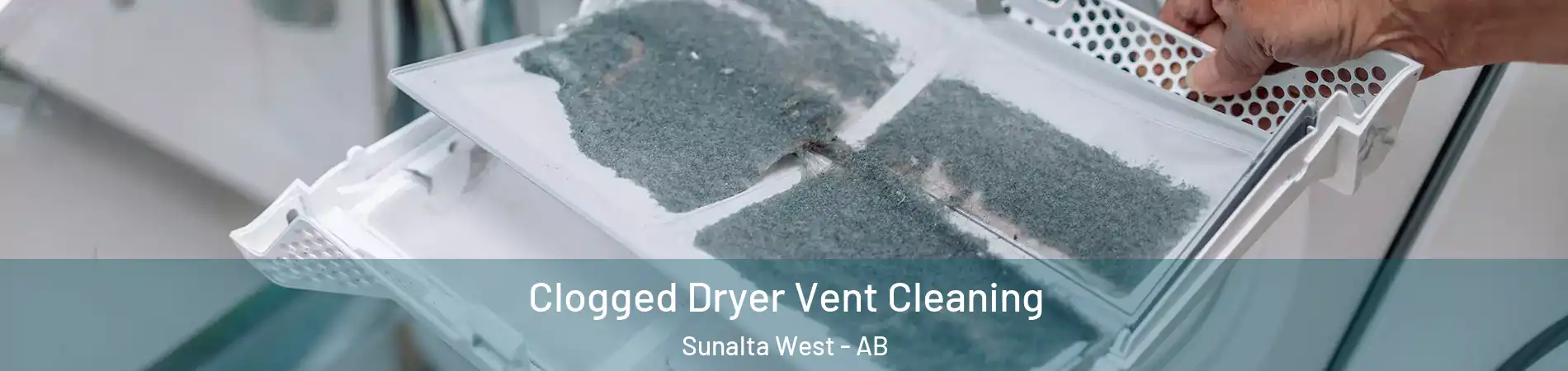  Clogged Dryer Vent Cleaning Sunalta West - AB