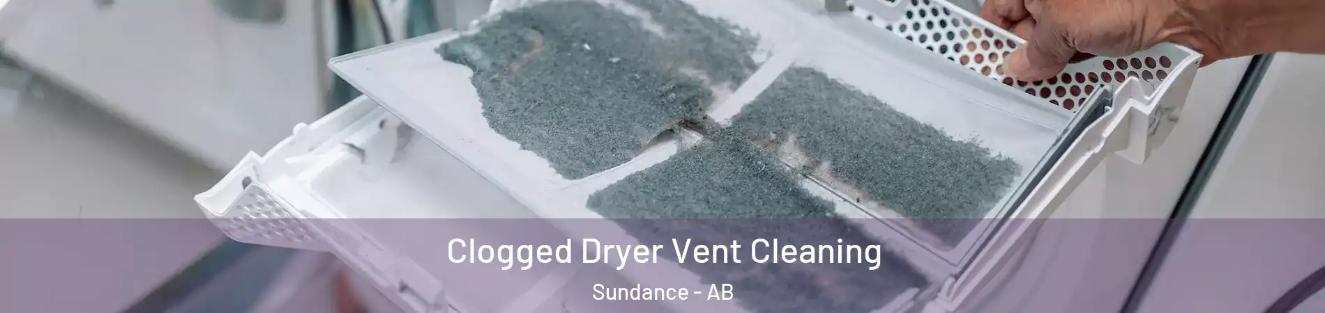  Clogged Dryer Vent Cleaning Sundance - AB