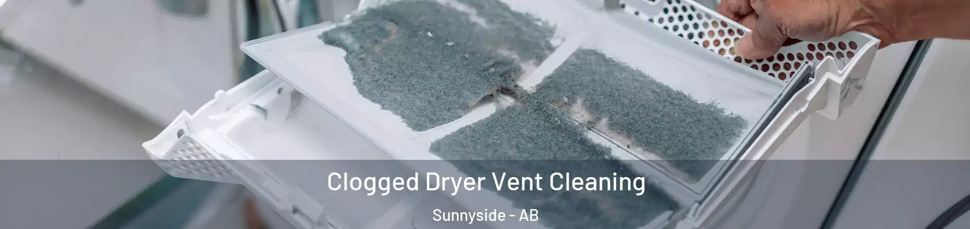  Clogged Dryer Vent Cleaning Sunnyside - AB