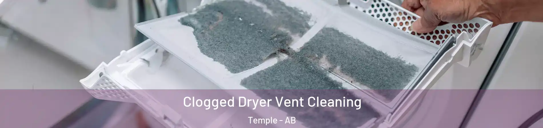  Clogged Dryer Vent Cleaning Temple - AB