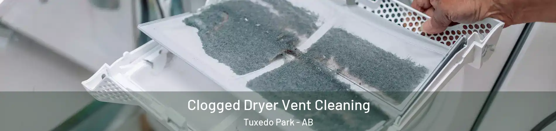 Clogged Dryer Vent Cleaning Tuxedo Park - AB