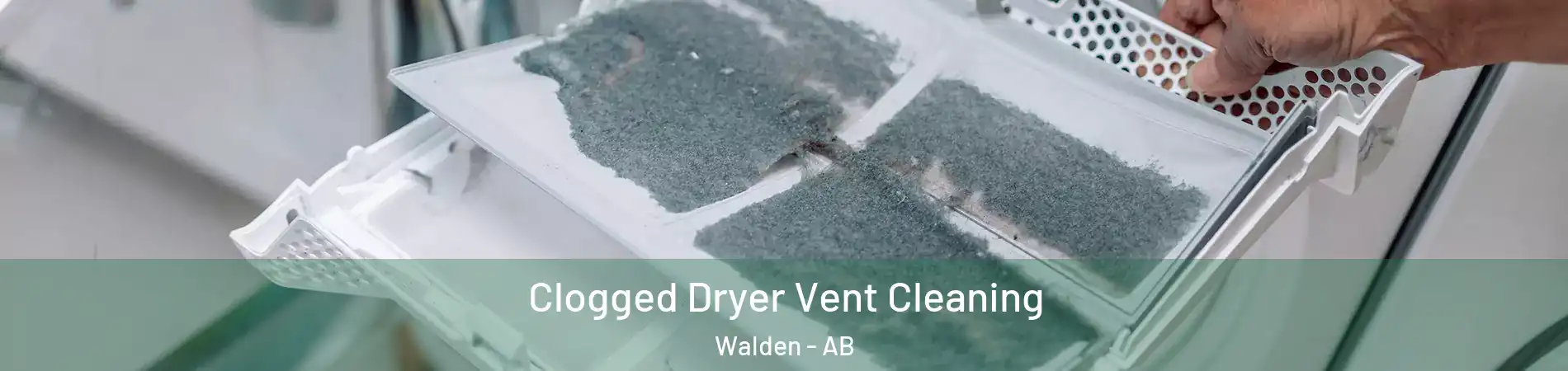  Clogged Dryer Vent Cleaning Walden - AB