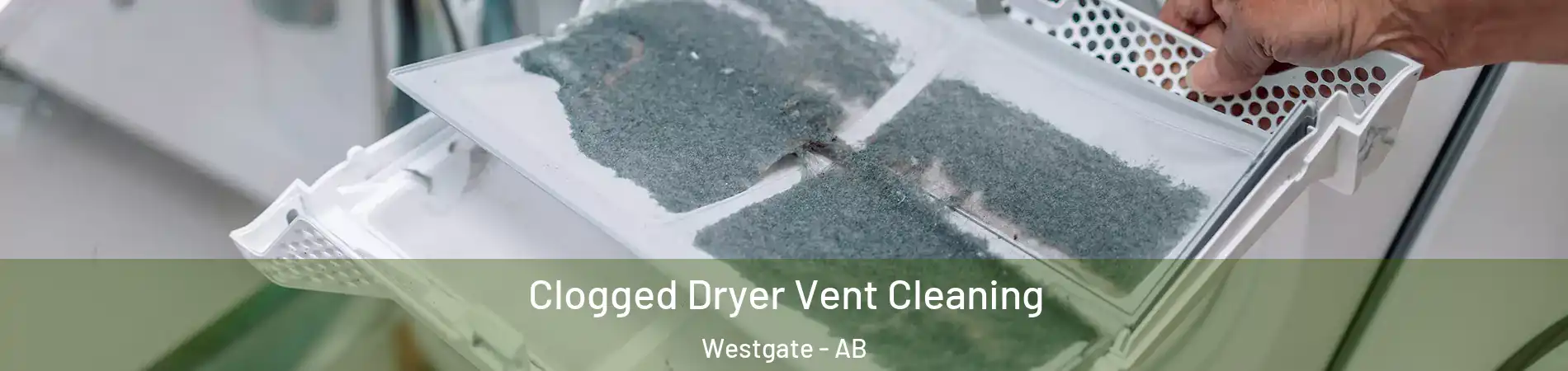  Clogged Dryer Vent Cleaning Westgate - AB