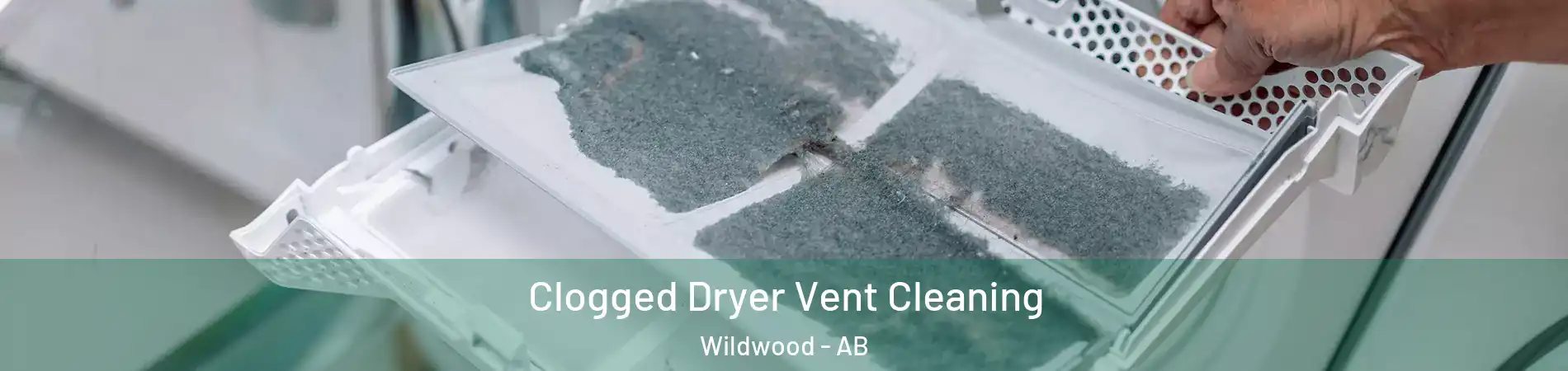  Clogged Dryer Vent Cleaning Wildwood - AB
