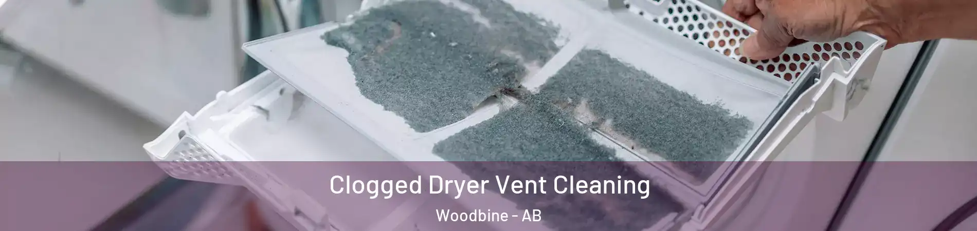  Clogged Dryer Vent Cleaning Woodbine - AB