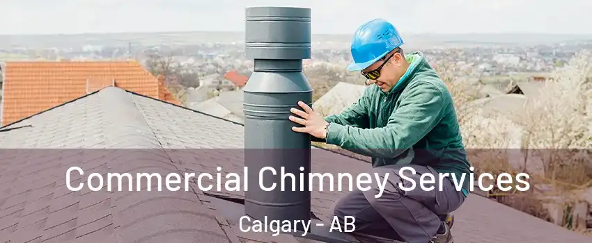  Commercial Chimney Services Calgary - AB