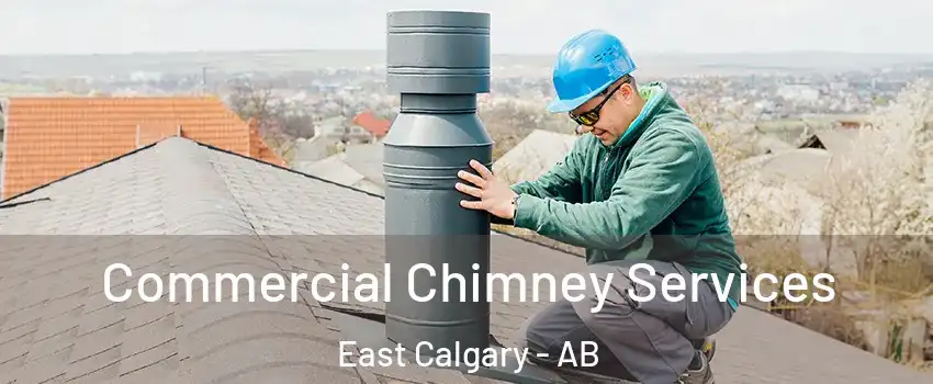  Commercial Chimney Services East Calgary - AB