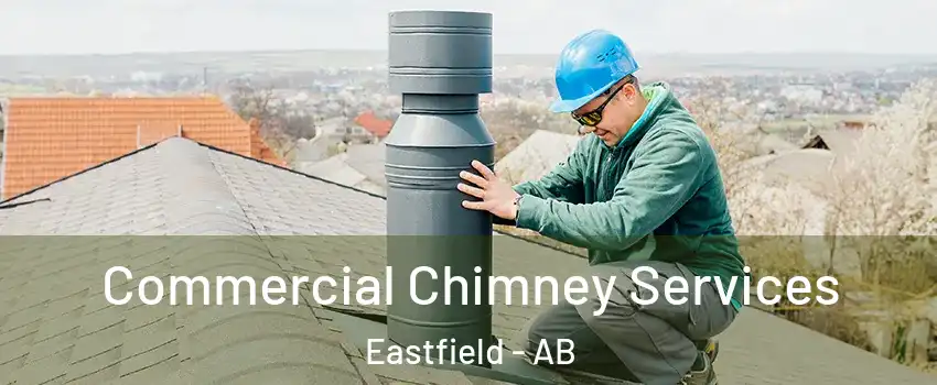  Commercial Chimney Services Eastfield - AB