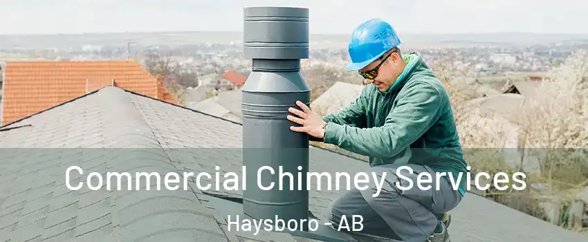 Commercial Chimney Services Haysboro - AB
