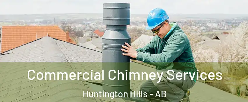  Commercial Chimney Services Huntington Hills - AB