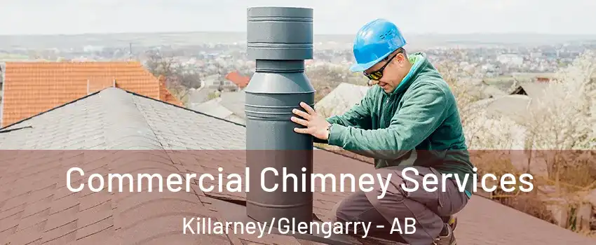  Commercial Chimney Services Killarney/Glengarry - AB