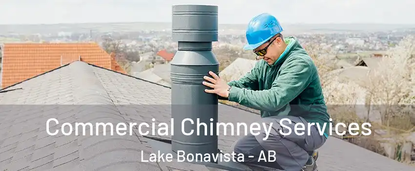  Commercial Chimney Services Lake Bonavista - AB