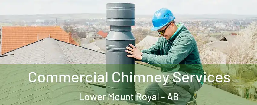  Commercial Chimney Services Lower Mount Royal - AB