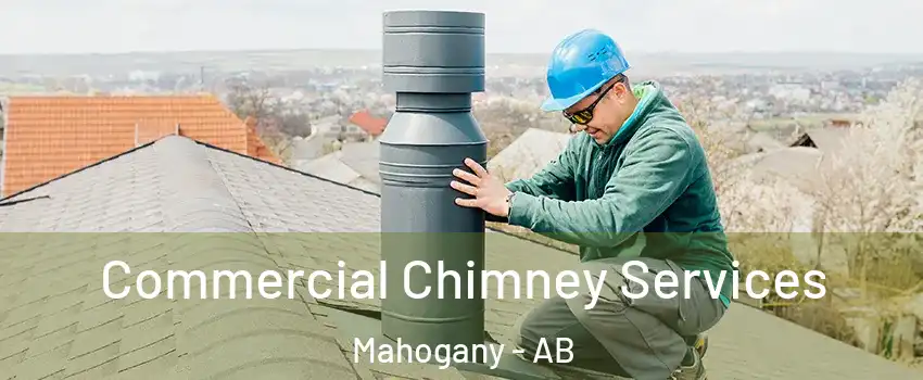  Commercial Chimney Services Mahogany - AB
