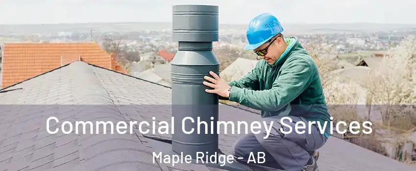  Commercial Chimney Services Maple Ridge - AB