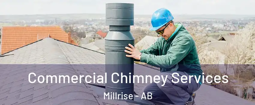  Commercial Chimney Services Millrise - AB
