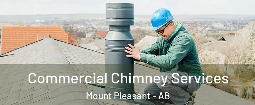  Commercial Chimney Services Mount Pleasant - AB