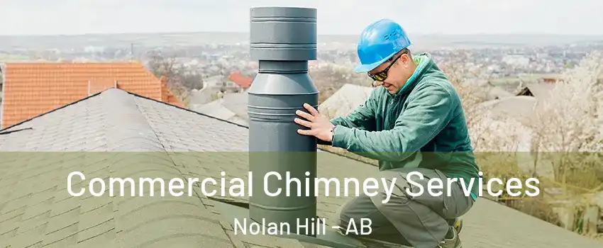  Commercial Chimney Services Nolan Hill - AB