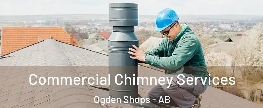  Commercial Chimney Services Ogden Shops - AB