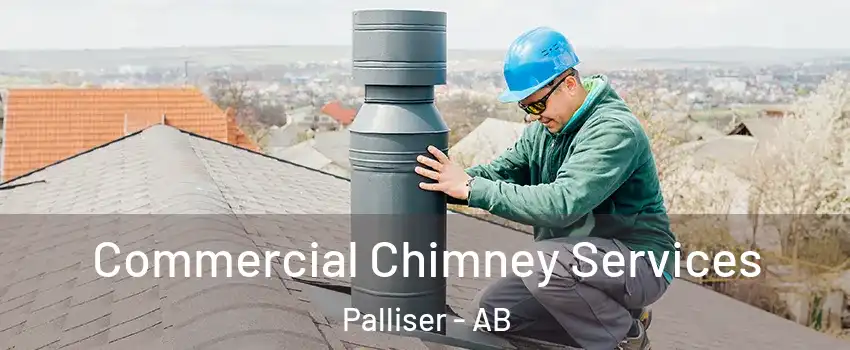  Commercial Chimney Services Palliser - AB