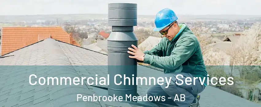  Commercial Chimney Services Penbrooke Meadows - AB