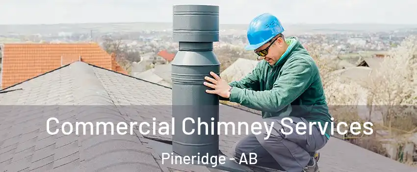  Commercial Chimney Services Pineridge - AB