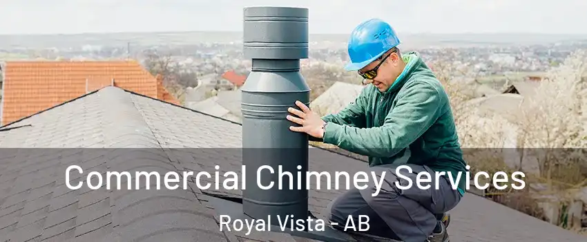  Commercial Chimney Services Royal Vista - AB
