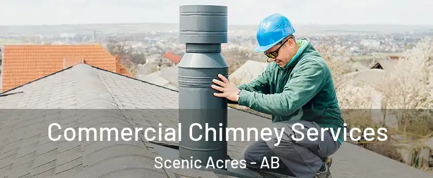  Commercial Chimney Services Scenic Acres - AB