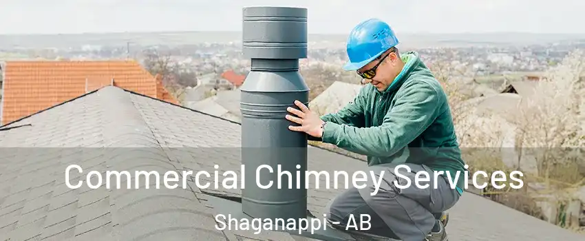  Commercial Chimney Services Shaganappi - AB