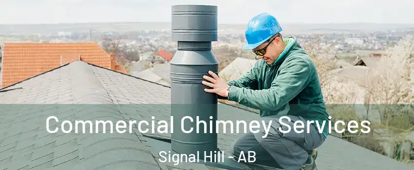  Commercial Chimney Services Signal Hill - AB
