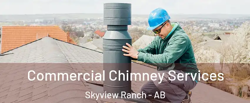  Commercial Chimney Services Skyview Ranch - AB