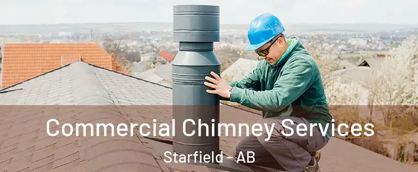  Commercial Chimney Services Starfield - AB