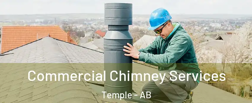  Commercial Chimney Services Temple - AB
