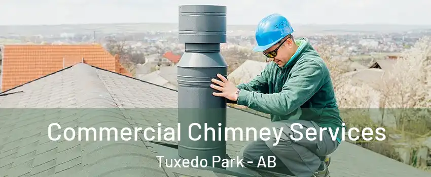  Commercial Chimney Services Tuxedo Park - AB