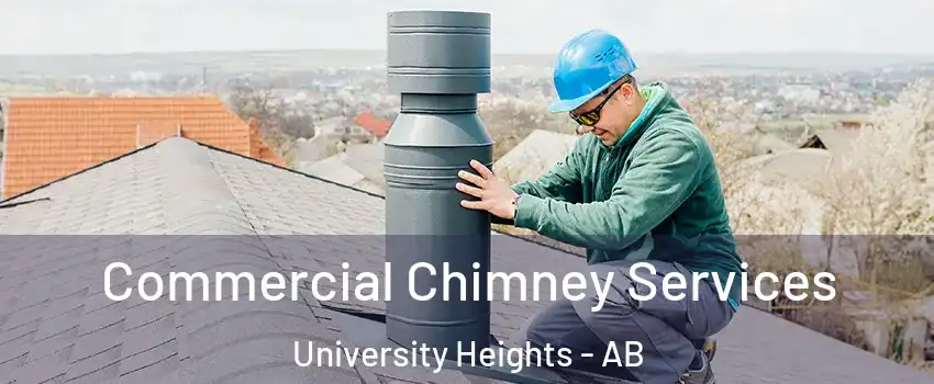  Commercial Chimney Services University Heights - AB