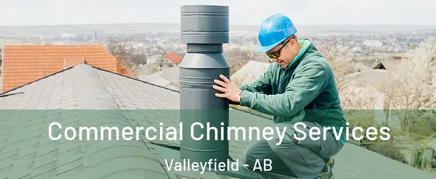  Commercial Chimney Services Valleyfield - AB