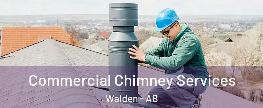  Commercial Chimney Services Walden - AB