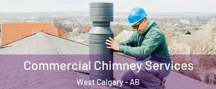  Commercial Chimney Services West Calgary - AB