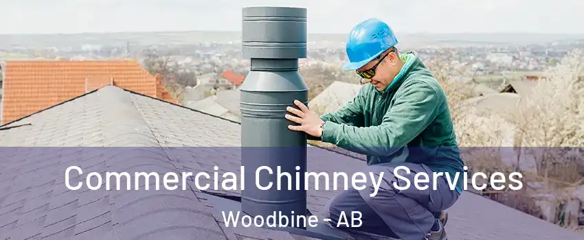  Commercial Chimney Services Woodbine - AB