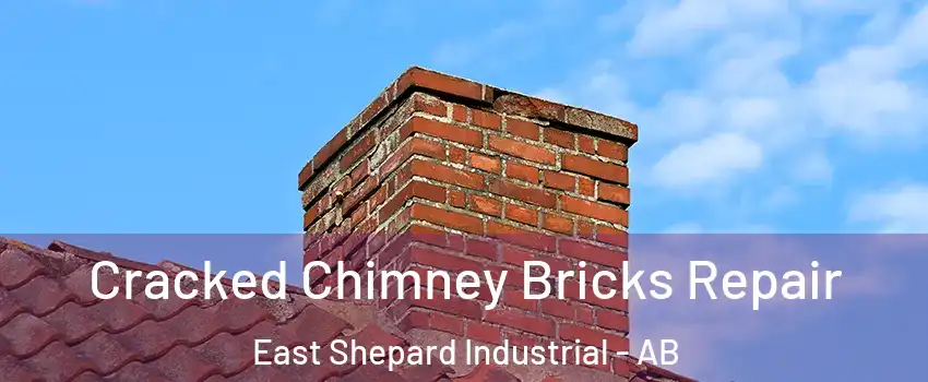  Cracked Chimney Bricks Repair East Shepard Industrial - AB