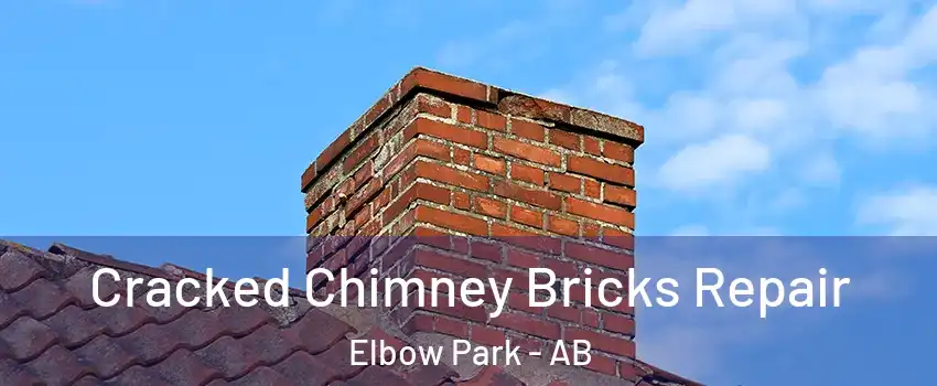  Cracked Chimney Bricks Repair Elbow Park - AB