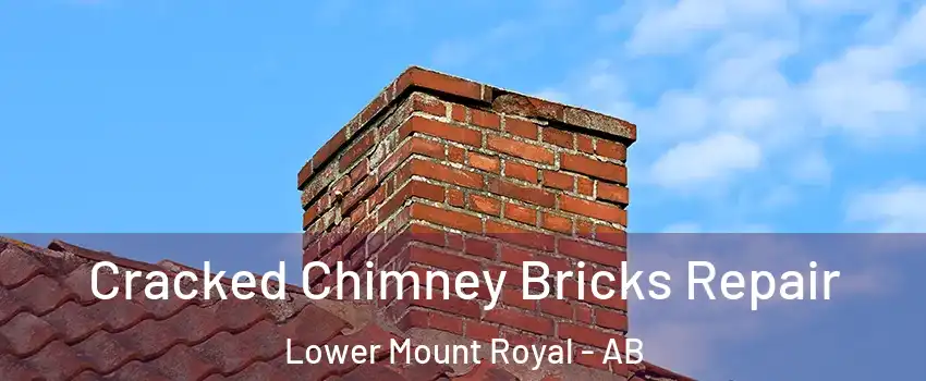  Cracked Chimney Bricks Repair Lower Mount Royal - AB
