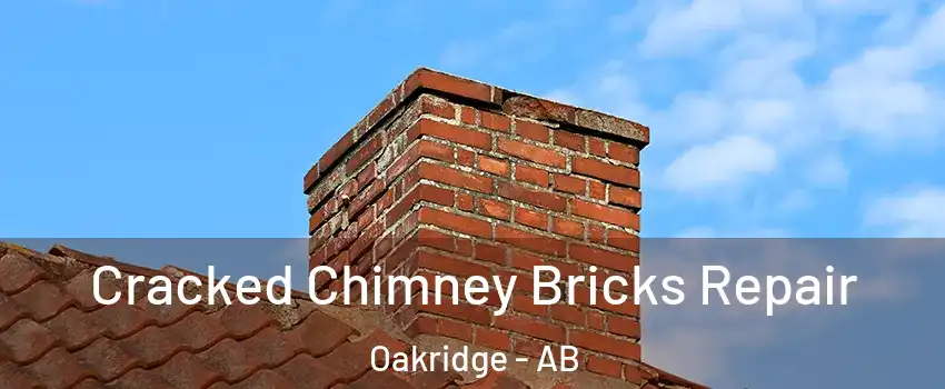 Cracked Chimney Bricks Repair Oakridge - AB