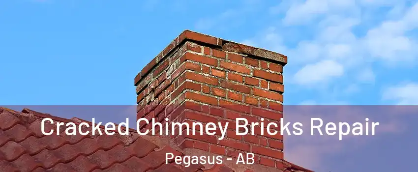  Cracked Chimney Bricks Repair Pegasus - AB