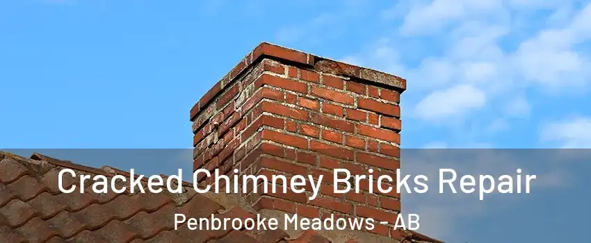  Cracked Chimney Bricks Repair Penbrooke Meadows - AB