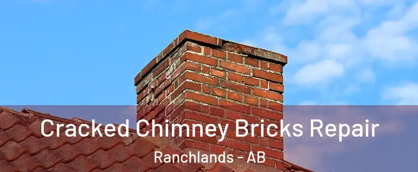  Cracked Chimney Bricks Repair Ranchlands - AB