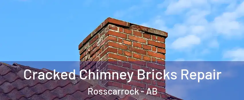  Cracked Chimney Bricks Repair Rosscarrock - AB