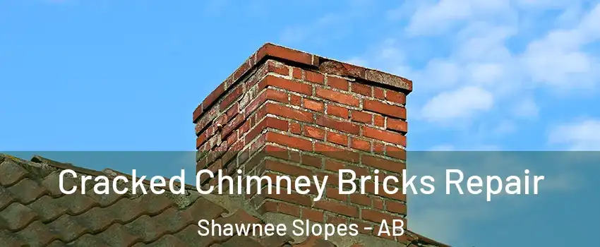  Cracked Chimney Bricks Repair Shawnee Slopes - AB