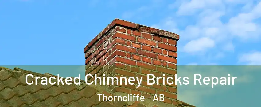  Cracked Chimney Bricks Repair Thorncliffe - AB